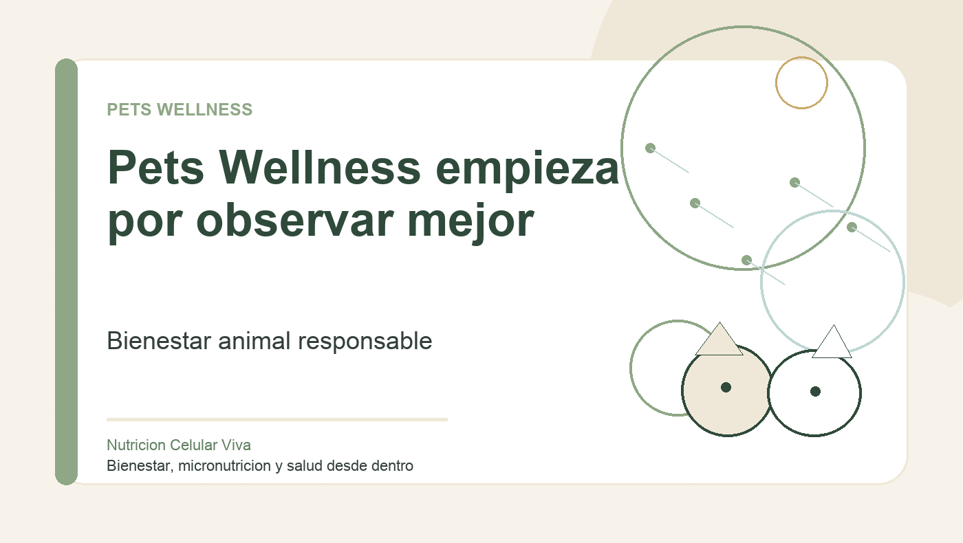 Pets Wellness